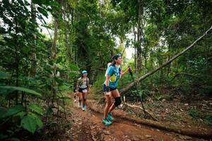 BIB: 
                            <button type="button" onclick="openModal(26810334)" class="btn btn-primary btn-sm float-right btn-popup" data-toggle="modal" data-target=".modal-high-quality">
                        <i class="fas fa-shopping-cart"></i> Add to Cart
                    </button>
                                            <button type="button" onclick="isThisMe(26810334, true)" class="btn btn-success btn-sm float-right btn-popup btn-isme hidden" data-toggle="tooltip" data-placement="bottom" title="นี่คือรูปของคุณใช่ไหม คลิกที่นี่เพื่อเอาเข้าอัลบั้ม">
                        <i class="fas fa-plus"></i> Add to album
                    </button>
                    <button type="button" onclick="isThisMe(26810334, false)" class="btn btn-warning btn-sm float-right btn-popup btn-isnotme hidden">
                        <i class="fas fa-ban"></i> Remove from album
                    </button>