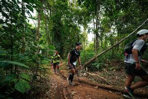 BIB: 
                            <button type="button" onclick="openModal(26809585)" class="btn btn-primary btn-sm float-right btn-popup" data-toggle="modal" data-target=".modal-high-quality">
                        <i class="fas fa-shopping-cart"></i> Add to Cart
                    </button>
                                            <button type="button" onclick="isThisMe(26809585, true)" class="btn btn-success btn-sm float-right btn-popup btn-isme hidden" data-toggle="tooltip" data-placement="bottom" title="นี่คือรูปของคุณใช่ไหม คลิกที่นี่เพื่อเอาเข้าอัลบั้ม">
                        <i class="fas fa-plus"></i> Add to album
                    </button>
                    <button type="button" onclick="isThisMe(26809585, false)" class="btn btn-warning btn-sm float-right btn-popup btn-isnotme hidden">
                        <i class="fas fa-ban"></i> Remove from album
                    </button>