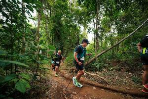 BIB: 
                            <button type="button" onclick="openModal(26812967)" class="btn btn-primary btn-sm float-right btn-popup" data-toggle="modal" data-target=".modal-high-quality">
                        <i class="fas fa-shopping-cart"></i> Add to Cart
                    </button>
                                            <button type="button" onclick="isThisMe(26812967, true)" class="btn btn-success btn-sm float-right btn-popup btn-isme hidden" data-toggle="tooltip" data-placement="bottom" title="นี่คือรูปของคุณใช่ไหม คลิกที่นี่เพื่อเอาเข้าอัลบั้ม">
                        <i class="fas fa-plus"></i> Add to album
                    </button>
                    <button type="button" onclick="isThisMe(26812967, false)" class="btn btn-warning btn-sm float-right btn-popup btn-isnotme hidden">
                        <i class="fas fa-ban"></i> Remove from album
                    </button>