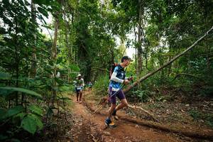 BIB: 
                            <button type="button" onclick="openModal(26811278)" class="btn btn-primary btn-sm float-right btn-popup" data-toggle="modal" data-target=".modal-high-quality">
                        <i class="fas fa-shopping-cart"></i> Add to Cart
                    </button>
                                            <button type="button" onclick="isThisMe(26811278, true)" class="btn btn-success btn-sm float-right btn-popup btn-isme hidden" data-toggle="tooltip" data-placement="bottom" title="นี่คือรูปของคุณใช่ไหม คลิกที่นี่เพื่อเอาเข้าอัลบั้ม">
                        <i class="fas fa-plus"></i> Add to album
                    </button>
                    <button type="button" onclick="isThisMe(26811278, false)" class="btn btn-warning btn-sm float-right btn-popup btn-isnotme hidden">
                        <i class="fas fa-ban"></i> Remove from album
                    </button>