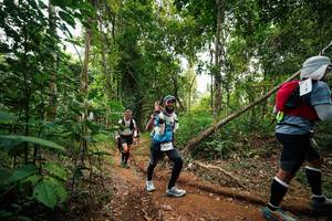 BIB: 
                            <button type="button" onclick="openModal(26812606)" class="btn btn-primary btn-sm float-right btn-popup" data-toggle="modal" data-target=".modal-high-quality">
                        <i class="fas fa-shopping-cart"></i> Add to Cart
                    </button>
                                            <button type="button" onclick="isThisMe(26812606, true)" class="btn btn-success btn-sm float-right btn-popup btn-isme hidden" data-toggle="tooltip" data-placement="bottom" title="นี่คือรูปของคุณใช่ไหม คลิกที่นี่เพื่อเอาเข้าอัลบั้ม">
                        <i class="fas fa-plus"></i> Add to album
                    </button>
                    <button type="button" onclick="isThisMe(26812606, false)" class="btn btn-warning btn-sm float-right btn-popup btn-isnotme hidden">
                        <i class="fas fa-ban"></i> Remove from album
                    </button>