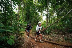 BIB: 
                            <button type="button" onclick="openModal(26810965)" class="btn btn-primary btn-sm float-right btn-popup" data-toggle="modal" data-target=".modal-high-quality">
                        <i class="fas fa-shopping-cart"></i> Add to Cart
                    </button>
                                            <button type="button" onclick="isThisMe(26810965, true)" class="btn btn-success btn-sm float-right btn-popup btn-isme hidden" data-toggle="tooltip" data-placement="bottom" title="นี่คือรูปของคุณใช่ไหม คลิกที่นี่เพื่อเอาเข้าอัลบั้ม">
                        <i class="fas fa-plus"></i> Add to album
                    </button>
                    <button type="button" onclick="isThisMe(26810965, false)" class="btn btn-warning btn-sm float-right btn-popup btn-isnotme hidden">
                        <i class="fas fa-ban"></i> Remove from album
                    </button>