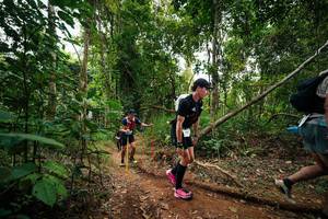 BIB: 
                            <button type="button" onclick="openModal(26810532)" class="btn btn-primary btn-sm float-right btn-popup" data-toggle="modal" data-target=".modal-high-quality">
                        <i class="fas fa-shopping-cart"></i> Add to Cart
                    </button>
                                            <button type="button" onclick="isThisMe(26810532, true)" class="btn btn-success btn-sm float-right btn-popup btn-isme hidden" data-toggle="tooltip" data-placement="bottom" title="นี่คือรูปของคุณใช่ไหม คลิกที่นี่เพื่อเอาเข้าอัลบั้ม">
                        <i class="fas fa-plus"></i> Add to album
                    </button>
                    <button type="button" onclick="isThisMe(26810532, false)" class="btn btn-warning btn-sm float-right btn-popup btn-isnotme hidden">
                        <i class="fas fa-ban"></i> Remove from album
                    </button>