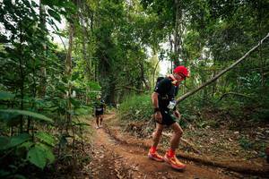 BIB: 
                            <button type="button" onclick="openModal(26811966)" class="btn btn-primary btn-sm float-right btn-popup" data-toggle="modal" data-target=".modal-high-quality">
                        <i class="fas fa-shopping-cart"></i> Add to Cart
                    </button>
                                            <button type="button" onclick="isThisMe(26811966, true)" class="btn btn-success btn-sm float-right btn-popup btn-isme hidden" data-toggle="tooltip" data-placement="bottom" title="นี่คือรูปของคุณใช่ไหม คลิกที่นี่เพื่อเอาเข้าอัลบั้ม">
                        <i class="fas fa-plus"></i> Add to album
                    </button>
                    <button type="button" onclick="isThisMe(26811966, false)" class="btn btn-warning btn-sm float-right btn-popup btn-isnotme hidden">
                        <i class="fas fa-ban"></i> Remove from album
                    </button>