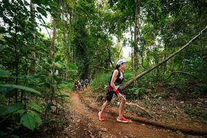 BIB: 
                            <button type="button" onclick="openModal(26813368)" class="btn btn-primary btn-sm float-right btn-popup" data-toggle="modal" data-target=".modal-high-quality">
                        <i class="fas fa-shopping-cart"></i> Add to Cart
                    </button>
                                            <button type="button" onclick="isThisMe(26813368, true)" class="btn btn-success btn-sm float-right btn-popup btn-isme hidden" data-toggle="tooltip" data-placement="bottom" title="นี่คือรูปของคุณใช่ไหม คลิกที่นี่เพื่อเอาเข้าอัลบั้ม">
                        <i class="fas fa-plus"></i> Add to album
                    </button>
                    <button type="button" onclick="isThisMe(26813368, false)" class="btn btn-warning btn-sm float-right btn-popup btn-isnotme hidden">
                        <i class="fas fa-ban"></i> Remove from album
                    </button>