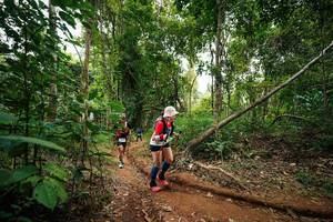 BIB: 
                            <button type="button" onclick="openModal(26813479)" class="btn btn-primary btn-sm float-right btn-popup" data-toggle="modal" data-target=".modal-high-quality">
                        <i class="fas fa-shopping-cart"></i> Add to Cart
                    </button>
                                            <button type="button" onclick="isThisMe(26813479, true)" class="btn btn-success btn-sm float-right btn-popup btn-isme hidden" data-toggle="tooltip" data-placement="bottom" title="นี่คือรูปของคุณใช่ไหม คลิกที่นี่เพื่อเอาเข้าอัลบั้ม">
                        <i class="fas fa-plus"></i> Add to album
                    </button>
                    <button type="button" onclick="isThisMe(26813479, false)" class="btn btn-warning btn-sm float-right btn-popup btn-isnotme hidden">
                        <i class="fas fa-ban"></i> Remove from album
                    </button>