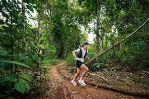 BIB: 
                            <button type="button" onclick="openModal(26808832)" class="btn btn-primary btn-sm float-right btn-popup" data-toggle="modal" data-target=".modal-high-quality">
                        <i class="fas fa-shopping-cart"></i> Add to Cart
                    </button>
                                            <button type="button" onclick="isThisMe(26808832, true)" class="btn btn-success btn-sm float-right btn-popup btn-isme hidden" data-toggle="tooltip" data-placement="bottom" title="นี่คือรูปของคุณใช่ไหม คลิกที่นี่เพื่อเอาเข้าอัลบั้ม">
                        <i class="fas fa-plus"></i> Add to album
                    </button>
                    <button type="button" onclick="isThisMe(26808832, false)" class="btn btn-warning btn-sm float-right btn-popup btn-isnotme hidden">
                        <i class="fas fa-ban"></i> Remove from album
                    </button>