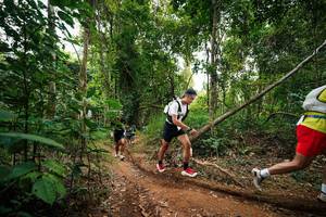 BIB: 
                            <button type="button" onclick="openModal(26811887)" class="btn btn-primary btn-sm float-right btn-popup" data-toggle="modal" data-target=".modal-high-quality">
                        <i class="fas fa-shopping-cart"></i> Add to Cart
                    </button>
                                            <button type="button" onclick="isThisMe(26811887, true)" class="btn btn-success btn-sm float-right btn-popup btn-isme hidden" data-toggle="tooltip" data-placement="bottom" title="นี่คือรูปของคุณใช่ไหม คลิกที่นี่เพื่อเอาเข้าอัลบั้ม">
                        <i class="fas fa-plus"></i> Add to album
                    </button>
                    <button type="button" onclick="isThisMe(26811887, false)" class="btn btn-warning btn-sm float-right btn-popup btn-isnotme hidden">
                        <i class="fas fa-ban"></i> Remove from album
                    </button>