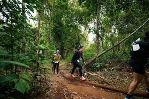 BIB: 
                            <button type="button" onclick="openModal(26813583)" class="btn btn-primary btn-sm float-right btn-popup" data-toggle="modal" data-target=".modal-high-quality">
                        <i class="fas fa-shopping-cart"></i> Add to Cart
                    </button>
                                            <button type="button" onclick="isThisMe(26813583, true)" class="btn btn-success btn-sm float-right btn-popup btn-isme hidden" data-toggle="tooltip" data-placement="bottom" title="นี่คือรูปของคุณใช่ไหม คลิกที่นี่เพื่อเอาเข้าอัลบั้ม">
                        <i class="fas fa-plus"></i> Add to album
                    </button>
                    <button type="button" onclick="isThisMe(26813583, false)" class="btn btn-warning btn-sm float-right btn-popup btn-isnotme hidden">
                        <i class="fas fa-ban"></i> Remove from album
                    </button>