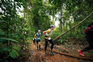 BIB: 
                            <button type="button" onclick="openModal(26813590)" class="btn btn-primary btn-sm float-right btn-popup" data-toggle="modal" data-target=".modal-high-quality">
                        <i class="fas fa-shopping-cart"></i> Add to Cart
                    </button>
                                            <button type="button" onclick="isThisMe(26813590, true)" class="btn btn-success btn-sm float-right btn-popup btn-isme hidden" data-toggle="tooltip" data-placement="bottom" title="นี่คือรูปของคุณใช่ไหม คลิกที่นี่เพื่อเอาเข้าอัลบั้ม">
                        <i class="fas fa-plus"></i> Add to album
                    </button>
                    <button type="button" onclick="isThisMe(26813590, false)" class="btn btn-warning btn-sm float-right btn-popup btn-isnotme hidden">
                        <i class="fas fa-ban"></i> Remove from album
                    </button>