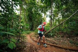 BIB: 
                            <button type="button" onclick="openModal(26813625)" class="btn btn-primary btn-sm float-right btn-popup" data-toggle="modal" data-target=".modal-high-quality">
                        <i class="fas fa-shopping-cart"></i> Add to Cart
                    </button>
                                            <button type="button" onclick="isThisMe(26813625, true)" class="btn btn-success btn-sm float-right btn-popup btn-isme hidden" data-toggle="tooltip" data-placement="bottom" title="นี่คือรูปของคุณใช่ไหม คลิกที่นี่เพื่อเอาเข้าอัลบั้ม">
                        <i class="fas fa-plus"></i> Add to album
                    </button>
                    <button type="button" onclick="isThisMe(26813625, false)" class="btn btn-warning btn-sm float-right btn-popup btn-isnotme hidden">
                        <i class="fas fa-ban"></i> Remove from album
                    </button>