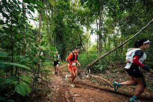 BIB: 
                            <button type="button" onclick="openModal(26808768)" class="btn btn-primary btn-sm float-right btn-popup" data-toggle="modal" data-target=".modal-high-quality">
                        <i class="fas fa-shopping-cart"></i> Add to Cart
                    </button>
                                            <button type="button" onclick="isThisMe(26808768, true)" class="btn btn-success btn-sm float-right btn-popup btn-isme hidden" data-toggle="tooltip" data-placement="bottom" title="นี่คือรูปของคุณใช่ไหม คลิกที่นี่เพื่อเอาเข้าอัลบั้ม">
                        <i class="fas fa-plus"></i> Add to album
                    </button>
                    <button type="button" onclick="isThisMe(26808768, false)" class="btn btn-warning btn-sm float-right btn-popup btn-isnotme hidden">
                        <i class="fas fa-ban"></i> Remove from album
                    </button>