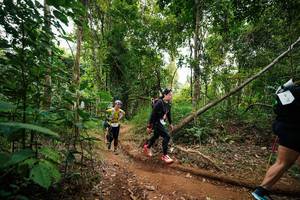 BIB: 
                            <button type="button" onclick="openModal(26813582)" class="btn btn-primary btn-sm float-right btn-popup" data-toggle="modal" data-target=".modal-high-quality">
                        <i class="fas fa-shopping-cart"></i> Add to Cart
                    </button>
                                            <button type="button" onclick="isThisMe(26813582, true)" class="btn btn-success btn-sm float-right btn-popup btn-isme hidden" data-toggle="tooltip" data-placement="bottom" title="นี่คือรูปของคุณใช่ไหม คลิกที่นี่เพื่อเอาเข้าอัลบั้ม">
                        <i class="fas fa-plus"></i> Add to album
                    </button>
                    <button type="button" onclick="isThisMe(26813582, false)" class="btn btn-warning btn-sm float-right btn-popup btn-isnotme hidden">
                        <i class="fas fa-ban"></i> Remove from album
                    </button>