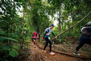 BIB: 
                            <button type="button" onclick="openModal(26812130)" class="btn btn-primary btn-sm float-right btn-popup" data-toggle="modal" data-target=".modal-high-quality">
                        <i class="fas fa-shopping-cart"></i> Add to Cart
                    </button>
                                            <button type="button" onclick="isThisMe(26812130, true)" class="btn btn-success btn-sm float-right btn-popup btn-isme hidden" data-toggle="tooltip" data-placement="bottom" title="นี่คือรูปของคุณใช่ไหม คลิกที่นี่เพื่อเอาเข้าอัลบั้ม">
                        <i class="fas fa-plus"></i> Add to album
                    </button>
                    <button type="button" onclick="isThisMe(26812130, false)" class="btn btn-warning btn-sm float-right btn-popup btn-isnotme hidden">
                        <i class="fas fa-ban"></i> Remove from album
                    </button>