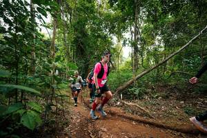 BIB: 
                            <button type="button" onclick="openModal(26812133)" class="btn btn-primary btn-sm float-right btn-popup" data-toggle="modal" data-target=".modal-high-quality">
                        <i class="fas fa-shopping-cart"></i> Add to Cart
                    </button>
                                            <button type="button" onclick="isThisMe(26812133, true)" class="btn btn-success btn-sm float-right btn-popup btn-isme hidden" data-toggle="tooltip" data-placement="bottom" title="นี่คือรูปของคุณใช่ไหม คลิกที่นี่เพื่อเอาเข้าอัลบั้ม">
                        <i class="fas fa-plus"></i> Add to album
                    </button>
                    <button type="button" onclick="isThisMe(26812133, false)" class="btn btn-warning btn-sm float-right btn-popup btn-isnotme hidden">
                        <i class="fas fa-ban"></i> Remove from album
                    </button>