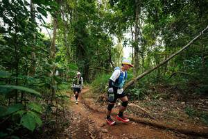 BIB: 
                            <button type="button" onclick="openModal(26811300)" class="btn btn-primary btn-sm float-right btn-popup" data-toggle="modal" data-target=".modal-high-quality">
                        <i class="fas fa-shopping-cart"></i> Add to Cart
                    </button>
                                            <button type="button" onclick="isThisMe(26811300, true)" class="btn btn-success btn-sm float-right btn-popup btn-isme hidden" data-toggle="tooltip" data-placement="bottom" title="นี่คือรูปของคุณใช่ไหม คลิกที่นี่เพื่อเอาเข้าอัลบั้ม">
                        <i class="fas fa-plus"></i> Add to album
                    </button>
                    <button type="button" onclick="isThisMe(26811300, false)" class="btn btn-warning btn-sm float-right btn-popup btn-isnotme hidden">
                        <i class="fas fa-ban"></i> Remove from album
                    </button>