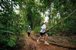 BIB: 
                            <button type="button" onclick="openModal(26810700)" class="btn btn-primary btn-sm float-right btn-popup" data-toggle="modal" data-target=".modal-high-quality">
                        <i class="fas fa-shopping-cart"></i> Add to Cart
                    </button>
                                            <button type="button" onclick="isThisMe(26810700, true)" class="btn btn-success btn-sm float-right btn-popup btn-isme hidden" data-toggle="tooltip" data-placement="bottom" title="นี่คือรูปของคุณใช่ไหม คลิกที่นี่เพื่อเอาเข้าอัลบั้ม">
                        <i class="fas fa-plus"></i> Add to album
                    </button>
                    <button type="button" onclick="isThisMe(26810700, false)" class="btn btn-warning btn-sm float-right btn-popup btn-isnotme hidden">
                        <i class="fas fa-ban"></i> Remove from album
                    </button>