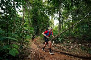 BIB: 
                            <button type="button" onclick="openModal(26809179)" class="btn btn-primary btn-sm float-right btn-popup" data-toggle="modal" data-target=".modal-high-quality">
                        <i class="fas fa-shopping-cart"></i> Add to Cart
                    </button>
                                            <button type="button" onclick="isThisMe(26809179, true)" class="btn btn-success btn-sm float-right btn-popup btn-isme hidden" data-toggle="tooltip" data-placement="bottom" title="นี่คือรูปของคุณใช่ไหม คลิกที่นี่เพื่อเอาเข้าอัลบั้ม">
                        <i class="fas fa-plus"></i> Add to album
                    </button>
                    <button type="button" onclick="isThisMe(26809179, false)" class="btn btn-warning btn-sm float-right btn-popup btn-isnotme hidden">
                        <i class="fas fa-ban"></i> Remove from album
                    </button>