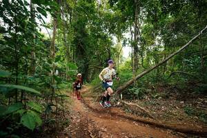 BIB: 
                            <button type="button" onclick="openModal(26811983)" class="btn btn-primary btn-sm float-right btn-popup" data-toggle="modal" data-target=".modal-high-quality">
                        <i class="fas fa-shopping-cart"></i> Add to Cart
                    </button>
                                            <button type="button" onclick="isThisMe(26811983, true)" class="btn btn-success btn-sm float-right btn-popup btn-isme hidden" data-toggle="tooltip" data-placement="bottom" title="นี่คือรูปของคุณใช่ไหม คลิกที่นี่เพื่อเอาเข้าอัลบั้ม">
                        <i class="fas fa-plus"></i> Add to album
                    </button>
                    <button type="button" onclick="isThisMe(26811983, false)" class="btn btn-warning btn-sm float-right btn-popup btn-isnotme hidden">
                        <i class="fas fa-ban"></i> Remove from album
                    </button>