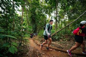 BIB: 
                            <button type="button" onclick="openModal(26813311)" class="btn btn-primary btn-sm float-right btn-popup" data-toggle="modal" data-target=".modal-high-quality">
                        <i class="fas fa-shopping-cart"></i> Add to Cart
                    </button>
                                            <button type="button" onclick="isThisMe(26813311, true)" class="btn btn-success btn-sm float-right btn-popup btn-isme hidden" data-toggle="tooltip" data-placement="bottom" title="นี่คือรูปของคุณใช่ไหม คลิกที่นี่เพื่อเอาเข้าอัลบั้ม">
                        <i class="fas fa-plus"></i> Add to album
                    </button>
                    <button type="button" onclick="isThisMe(26813311, false)" class="btn btn-warning btn-sm float-right btn-popup btn-isnotme hidden">
                        <i class="fas fa-ban"></i> Remove from album
                    </button>