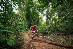 BIB: 
                            <button type="button" onclick="openModal(26808730)" class="btn btn-primary btn-sm float-right btn-popup" data-toggle="modal" data-target=".modal-high-quality">
                        <i class="fas fa-shopping-cart"></i> Add to Cart
                    </button>
                                            <button type="button" onclick="isThisMe(26808730, true)" class="btn btn-success btn-sm float-right btn-popup btn-isme hidden" data-toggle="tooltip" data-placement="bottom" title="นี่คือรูปของคุณใช่ไหม คลิกที่นี่เพื่อเอาเข้าอัลบั้ม">
                        <i class="fas fa-plus"></i> Add to album
                    </button>
                    <button type="button" onclick="isThisMe(26808730, false)" class="btn btn-warning btn-sm float-right btn-popup btn-isnotme hidden">
                        <i class="fas fa-ban"></i> Remove from album
                    </button>