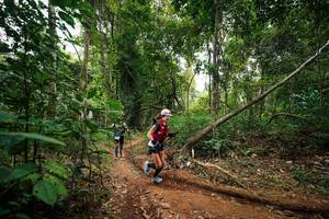 BIB: 
                            <button type="button" onclick="openModal(26811714)" class="btn btn-primary btn-sm float-right btn-popup" data-toggle="modal" data-target=".modal-high-quality">
                        <i class="fas fa-shopping-cart"></i> Add to Cart
                    </button>
                                            <button type="button" onclick="isThisMe(26811714, true)" class="btn btn-success btn-sm float-right btn-popup btn-isme hidden" data-toggle="tooltip" data-placement="bottom" title="นี่คือรูปของคุณใช่ไหม คลิกที่นี่เพื่อเอาเข้าอัลบั้ม">
                        <i class="fas fa-plus"></i> Add to album
                    </button>
                    <button type="button" onclick="isThisMe(26811714, false)" class="btn btn-warning btn-sm float-right btn-popup btn-isnotme hidden">
                        <i class="fas fa-ban"></i> Remove from album
                    </button>