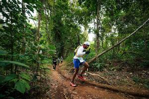 BIB: 
                            <button type="button" onclick="openModal(26811296)" class="btn btn-primary btn-sm float-right btn-popup" data-toggle="modal" data-target=".modal-high-quality">
                        <i class="fas fa-shopping-cart"></i> Add to Cart
                    </button>
                                            <button type="button" onclick="isThisMe(26811296, true)" class="btn btn-success btn-sm float-right btn-popup btn-isme hidden" data-toggle="tooltip" data-placement="bottom" title="นี่คือรูปของคุณใช่ไหม คลิกที่นี่เพื่อเอาเข้าอัลบั้ม">
                        <i class="fas fa-plus"></i> Add to album
                    </button>
                    <button type="button" onclick="isThisMe(26811296, false)" class="btn btn-warning btn-sm float-right btn-popup btn-isnotme hidden">
                        <i class="fas fa-ban"></i> Remove from album
                    </button>