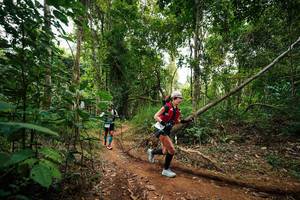 BIB: 
                            <button type="button" onclick="openModal(26811716)" class="btn btn-primary btn-sm float-right btn-popup" data-toggle="modal" data-target=".modal-high-quality">
                        <i class="fas fa-shopping-cart"></i> Add to Cart
                    </button>
                                            <button type="button" onclick="isThisMe(26811716, true)" class="btn btn-success btn-sm float-right btn-popup btn-isme hidden" data-toggle="tooltip" data-placement="bottom" title="นี่คือรูปของคุณใช่ไหม คลิกที่นี่เพื่อเอาเข้าอัลบั้ม">
                        <i class="fas fa-plus"></i> Add to album
                    </button>
                    <button type="button" onclick="isThisMe(26811716, false)" class="btn btn-warning btn-sm float-right btn-popup btn-isnotme hidden">
                        <i class="fas fa-ban"></i> Remove from album
                    </button>