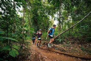 BIB: 
                            <button type="button" onclick="openModal(26812827)" class="btn btn-primary btn-sm float-right btn-popup" data-toggle="modal" data-target=".modal-high-quality">
                        <i class="fas fa-shopping-cart"></i> Add to Cart
                    </button>
                                            <button type="button" onclick="isThisMe(26812827, true)" class="btn btn-success btn-sm float-right btn-popup btn-isme hidden" data-toggle="tooltip" data-placement="bottom" title="นี่คือรูปของคุณใช่ไหม คลิกที่นี่เพื่อเอาเข้าอัลบั้ม">
                        <i class="fas fa-plus"></i> Add to album
                    </button>
                    <button type="button" onclick="isThisMe(26812827, false)" class="btn btn-warning btn-sm float-right btn-popup btn-isnotme hidden">
                        <i class="fas fa-ban"></i> Remove from album
                    </button>