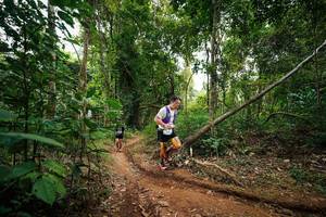 BIB: 
                            <button type="button" onclick="openModal(26811340)" class="btn btn-primary btn-sm float-right btn-popup" data-toggle="modal" data-target=".modal-high-quality">
                        <i class="fas fa-shopping-cart"></i> Add to Cart
                    </button>
                                            <button type="button" onclick="isThisMe(26811340, true)" class="btn btn-success btn-sm float-right btn-popup btn-isme hidden" data-toggle="tooltip" data-placement="bottom" title="นี่คือรูปของคุณใช่ไหม คลิกที่นี่เพื่อเอาเข้าอัลบั้ม">
                        <i class="fas fa-plus"></i> Add to album
                    </button>
                    <button type="button" onclick="isThisMe(26811340, false)" class="btn btn-warning btn-sm float-right btn-popup btn-isnotme hidden">
                        <i class="fas fa-ban"></i> Remove from album
                    </button>