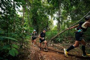 BIB: 
                            <button type="button" onclick="openModal(26809977)" class="btn btn-primary btn-sm float-right btn-popup" data-toggle="modal" data-target=".modal-high-quality">
                        <i class="fas fa-shopping-cart"></i> Add to Cart
                    </button>
                                            <button type="button" onclick="isThisMe(26809977, true)" class="btn btn-success btn-sm float-right btn-popup btn-isme hidden" data-toggle="tooltip" data-placement="bottom" title="นี่คือรูปของคุณใช่ไหม คลิกที่นี่เพื่อเอาเข้าอัลบั้ม">
                        <i class="fas fa-plus"></i> Add to album
                    </button>
                    <button type="button" onclick="isThisMe(26809977, false)" class="btn btn-warning btn-sm float-right btn-popup btn-isnotme hidden">
                        <i class="fas fa-ban"></i> Remove from album
                    </button>