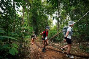 BIB: 
                            <button type="button" onclick="openModal(26810304)" class="btn btn-primary btn-sm float-right btn-popup" data-toggle="modal" data-target=".modal-high-quality">
                        <i class="fas fa-shopping-cart"></i> Add to Cart
                    </button>
                                            <button type="button" onclick="isThisMe(26810304, true)" class="btn btn-success btn-sm float-right btn-popup btn-isme hidden" data-toggle="tooltip" data-placement="bottom" title="นี่คือรูปของคุณใช่ไหม คลิกที่นี่เพื่อเอาเข้าอัลบั้ม">
                        <i class="fas fa-plus"></i> Add to album
                    </button>
                    <button type="button" onclick="isThisMe(26810304, false)" class="btn btn-warning btn-sm float-right btn-popup btn-isnotme hidden">
                        <i class="fas fa-ban"></i> Remove from album
                    </button>