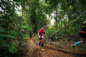 BIB: 
                            <button type="button" onclick="openModal(26811052)" class="btn btn-primary btn-sm float-right btn-popup" data-toggle="modal" data-target=".modal-high-quality">
                        <i class="fas fa-shopping-cart"></i> Add to Cart
                    </button>
                                            <button type="button" onclick="isThisMe(26811052, true)" class="btn btn-success btn-sm float-right btn-popup btn-isme hidden" data-toggle="tooltip" data-placement="bottom" title="นี่คือรูปของคุณใช่ไหม คลิกที่นี่เพื่อเอาเข้าอัลบั้ม">
                        <i class="fas fa-plus"></i> Add to album
                    </button>
                    <button type="button" onclick="isThisMe(26811052, false)" class="btn btn-warning btn-sm float-right btn-popup btn-isnotme hidden">
                        <i class="fas fa-ban"></i> Remove from album
                    </button>