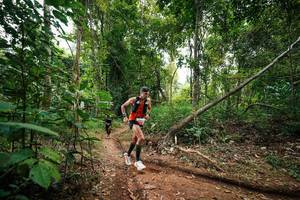 BIB: 
                            <button type="button" onclick="openModal(26808667)" class="btn btn-primary btn-sm float-right btn-popup" data-toggle="modal" data-target=".modal-high-quality">
                        <i class="fas fa-shopping-cart"></i> Add to Cart
                    </button>
                                            <button type="button" onclick="isThisMe(26808667, true)" class="btn btn-success btn-sm float-right btn-popup btn-isme hidden" data-toggle="tooltip" data-placement="bottom" title="นี่คือรูปของคุณใช่ไหม คลิกที่นี่เพื่อเอาเข้าอัลบั้ม">
                        <i class="fas fa-plus"></i> Add to album
                    </button>
                    <button type="button" onclick="isThisMe(26808667, false)" class="btn btn-warning btn-sm float-right btn-popup btn-isnotme hidden">
                        <i class="fas fa-ban"></i> Remove from album
                    </button>