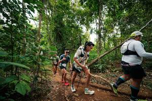 BIB: 
                            <button type="button" onclick="openModal(26812140)" class="btn btn-primary btn-sm float-right btn-popup" data-toggle="modal" data-target=".modal-high-quality">
                        <i class="fas fa-shopping-cart"></i> Add to Cart
                    </button>
                                            <button type="button" onclick="isThisMe(26812140, true)" class="btn btn-success btn-sm float-right btn-popup btn-isme hidden" data-toggle="tooltip" data-placement="bottom" title="นี่คือรูปของคุณใช่ไหม คลิกที่นี่เพื่อเอาเข้าอัลบั้ม">
                        <i class="fas fa-plus"></i> Add to album
                    </button>
                    <button type="button" onclick="isThisMe(26812140, false)" class="btn btn-warning btn-sm float-right btn-popup btn-isnotme hidden">
                        <i class="fas fa-ban"></i> Remove from album
                    </button>