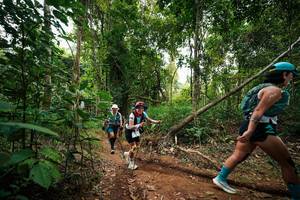 BIB: 
                            <button type="button" onclick="openModal(26810339)" class="btn btn-primary btn-sm float-right btn-popup" data-toggle="modal" data-target=".modal-high-quality">
                        <i class="fas fa-shopping-cart"></i> Add to Cart
                    </button>
                                            <button type="button" onclick="isThisMe(26810339, true)" class="btn btn-success btn-sm float-right btn-popup btn-isme hidden" data-toggle="tooltip" data-placement="bottom" title="นี่คือรูปของคุณใช่ไหม คลิกที่นี่เพื่อเอาเข้าอัลบั้ม">
                        <i class="fas fa-plus"></i> Add to album
                    </button>
                    <button type="button" onclick="isThisMe(26810339, false)" class="btn btn-warning btn-sm float-right btn-popup btn-isnotme hidden">
                        <i class="fas fa-ban"></i> Remove from album
                    </button>