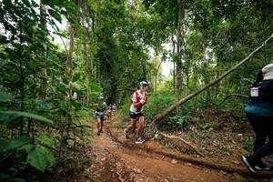 BIB: 
                            <button type="button" onclick="openModal(26812861)" class="btn btn-primary btn-sm float-right btn-popup" data-toggle="modal" data-target=".modal-high-quality">
                        <i class="fas fa-shopping-cart"></i> Add to Cart
                    </button>
                                            <button type="button" onclick="isThisMe(26812861, true)" class="btn btn-success btn-sm float-right btn-popup btn-isme hidden" data-toggle="tooltip" data-placement="bottom" title="นี่คือรูปของคุณใช่ไหม คลิกที่นี่เพื่อเอาเข้าอัลบั้ม">
                        <i class="fas fa-plus"></i> Add to album
                    </button>
                    <button type="button" onclick="isThisMe(26812861, false)" class="btn btn-warning btn-sm float-right btn-popup btn-isnotme hidden">
                        <i class="fas fa-ban"></i> Remove from album
                    </button>