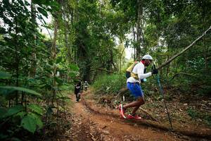 BIB: 
                            <button type="button" onclick="openModal(26811286)" class="btn btn-primary btn-sm float-right btn-popup" data-toggle="modal" data-target=".modal-high-quality">
                        <i class="fas fa-shopping-cart"></i> Add to Cart
                    </button>
                                            <button type="button" onclick="isThisMe(26811286, true)" class="btn btn-success btn-sm float-right btn-popup btn-isme hidden" data-toggle="tooltip" data-placement="bottom" title="นี่คือรูปของคุณใช่ไหม คลิกที่นี่เพื่อเอาเข้าอัลบั้ม">
                        <i class="fas fa-plus"></i> Add to album
                    </button>
                    <button type="button" onclick="isThisMe(26811286, false)" class="btn btn-warning btn-sm float-right btn-popup btn-isnotme hidden">
                        <i class="fas fa-ban"></i> Remove from album
                    </button>