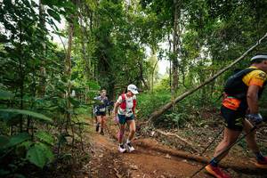 BIB: 
                            <button type="button" onclick="openModal(26813377)" class="btn btn-primary btn-sm float-right btn-popup" data-toggle="modal" data-target=".modal-high-quality">
                        <i class="fas fa-shopping-cart"></i> Add to Cart
                    </button>
                                            <button type="button" onclick="isThisMe(26813377, true)" class="btn btn-success btn-sm float-right btn-popup btn-isme hidden" data-toggle="tooltip" data-placement="bottom" title="นี่คือรูปของคุณใช่ไหม คลิกที่นี่เพื่อเอาเข้าอัลบั้ม">
                        <i class="fas fa-plus"></i> Add to album
                    </button>
                    <button type="button" onclick="isThisMe(26813377, false)" class="btn btn-warning btn-sm float-right btn-popup btn-isnotme hidden">
                        <i class="fas fa-ban"></i> Remove from album
                    </button>