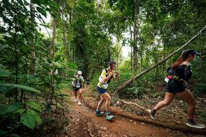 BIB: 
                            <button type="button" onclick="openModal(26812673)" class="btn btn-primary btn-sm float-right btn-popup" data-toggle="modal" data-target=".modal-high-quality">
                        <i class="fas fa-shopping-cart"></i> Add to Cart
                    </button>
                                            <button type="button" onclick="isThisMe(26812673, true)" class="btn btn-success btn-sm float-right btn-popup btn-isme hidden" data-toggle="tooltip" data-placement="bottom" title="นี่คือรูปของคุณใช่ไหม คลิกที่นี่เพื่อเอาเข้าอัลบั้ม">
                        <i class="fas fa-plus"></i> Add to album
                    </button>
                    <button type="button" onclick="isThisMe(26812673, false)" class="btn btn-warning btn-sm float-right btn-popup btn-isnotme hidden">
                        <i class="fas fa-ban"></i> Remove from album
                    </button>