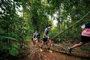 BIB: 
                            <button type="button" onclick="openModal(26810502)" class="btn btn-primary btn-sm float-right btn-popup" data-toggle="modal" data-target=".modal-high-quality">
                        <i class="fas fa-shopping-cart"></i> Add to Cart
                    </button>
                                            <button type="button" onclick="isThisMe(26810502, true)" class="btn btn-success btn-sm float-right btn-popup btn-isme hidden" data-toggle="tooltip" data-placement="bottom" title="นี่คือรูปของคุณใช่ไหม คลิกที่นี่เพื่อเอาเข้าอัลบั้ม">
                        <i class="fas fa-plus"></i> Add to album
                    </button>
                    <button type="button" onclick="isThisMe(26810502, false)" class="btn btn-warning btn-sm float-right btn-popup btn-isnotme hidden">
                        <i class="fas fa-ban"></i> Remove from album
                    </button>