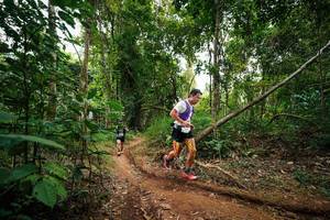 BIB: 
                            <button type="button" onclick="openModal(26811341)" class="btn btn-primary btn-sm float-right btn-popup" data-toggle="modal" data-target=".modal-high-quality">
                        <i class="fas fa-shopping-cart"></i> Add to Cart
                    </button>
                                            <button type="button" onclick="isThisMe(26811341, true)" class="btn btn-success btn-sm float-right btn-popup btn-isme hidden" data-toggle="tooltip" data-placement="bottom" title="นี่คือรูปของคุณใช่ไหม คลิกที่นี่เพื่อเอาเข้าอัลบั้ม">
                        <i class="fas fa-plus"></i> Add to album
                    </button>
                    <button type="button" onclick="isThisMe(26811341, false)" class="btn btn-warning btn-sm float-right btn-popup btn-isnotme hidden">
                        <i class="fas fa-ban"></i> Remove from album
                    </button>