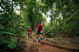 BIB: 
                            <button type="button" onclick="openModal(26811050)" class="btn btn-primary btn-sm float-right btn-popup" data-toggle="modal" data-target=".modal-high-quality">
                        <i class="fas fa-shopping-cart"></i> Add to Cart
                    </button>
                                            <button type="button" onclick="isThisMe(26811050, true)" class="btn btn-success btn-sm float-right btn-popup btn-isme hidden" data-toggle="tooltip" data-placement="bottom" title="นี่คือรูปของคุณใช่ไหม คลิกที่นี่เพื่อเอาเข้าอัลบั้ม">
                        <i class="fas fa-plus"></i> Add to album
                    </button>
                    <button type="button" onclick="isThisMe(26811050, false)" class="btn btn-warning btn-sm float-right btn-popup btn-isnotme hidden">
                        <i class="fas fa-ban"></i> Remove from album
                    </button>