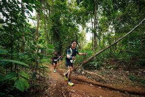 BIB: 
                            <button type="button" onclick="openModal(26813474)" class="btn btn-primary btn-sm float-right btn-popup" data-toggle="modal" data-target=".modal-high-quality">
                        <i class="fas fa-shopping-cart"></i> Add to Cart
                    </button>
                                            <button type="button" onclick="isThisMe(26813474, true)" class="btn btn-success btn-sm float-right btn-popup btn-isme hidden" data-toggle="tooltip" data-placement="bottom" title="นี่คือรูปของคุณใช่ไหม คลิกที่นี่เพื่อเอาเข้าอัลบั้ม">
                        <i class="fas fa-plus"></i> Add to album
                    </button>
                    <button type="button" onclick="isThisMe(26813474, false)" class="btn btn-warning btn-sm float-right btn-popup btn-isnotme hidden">
                        <i class="fas fa-ban"></i> Remove from album
                    </button>