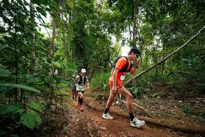 BIB: 
                            <button type="button" onclick="openModal(26811782)" class="btn btn-primary btn-sm float-right btn-popup" data-toggle="modal" data-target=".modal-high-quality">
                        <i class="fas fa-shopping-cart"></i> Add to Cart
                    </button>
                                            <button type="button" onclick="isThisMe(26811782, true)" class="btn btn-success btn-sm float-right btn-popup btn-isme hidden" data-toggle="tooltip" data-placement="bottom" title="นี่คือรูปของคุณใช่ไหม คลิกที่นี่เพื่อเอาเข้าอัลบั้ม">
                        <i class="fas fa-plus"></i> Add to album
                    </button>
                    <button type="button" onclick="isThisMe(26811782, false)" class="btn btn-warning btn-sm float-right btn-popup btn-isnotme hidden">
                        <i class="fas fa-ban"></i> Remove from album
                    </button>