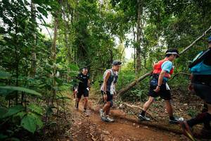 BIB: 
                            <button type="button" onclick="openModal(26812736)" class="btn btn-primary btn-sm float-right btn-popup" data-toggle="modal" data-target=".modal-high-quality">
                        <i class="fas fa-shopping-cart"></i> Add to Cart
                    </button>
                                            <button type="button" onclick="isThisMe(26812736, true)" class="btn btn-success btn-sm float-right btn-popup btn-isme hidden" data-toggle="tooltip" data-placement="bottom" title="นี่คือรูปของคุณใช่ไหม คลิกที่นี่เพื่อเอาเข้าอัลบั้ม">
                        <i class="fas fa-plus"></i> Add to album
                    </button>
                    <button type="button" onclick="isThisMe(26812736, false)" class="btn btn-warning btn-sm float-right btn-popup btn-isnotme hidden">
                        <i class="fas fa-ban"></i> Remove from album
                    </button>