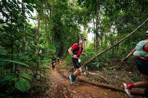 BIB: 
                            <button type="button" onclick="openModal(26810583)" class="btn btn-primary btn-sm float-right btn-popup" data-toggle="modal" data-target=".modal-high-quality">
                        <i class="fas fa-shopping-cart"></i> Add to Cart
                    </button>
                                            <button type="button" onclick="isThisMe(26810583, true)" class="btn btn-success btn-sm float-right btn-popup btn-isme hidden" data-toggle="tooltip" data-placement="bottom" title="นี่คือรูปของคุณใช่ไหม คลิกที่นี่เพื่อเอาเข้าอัลบั้ม">
                        <i class="fas fa-plus"></i> Add to album
                    </button>
                    <button type="button" onclick="isThisMe(26810583, false)" class="btn btn-warning btn-sm float-right btn-popup btn-isnotme hidden">
                        <i class="fas fa-ban"></i> Remove from album
                    </button>