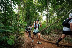 BIB: 
                            <button type="button" onclick="openModal(26812706)" class="btn btn-primary btn-sm float-right btn-popup" data-toggle="modal" data-target=".modal-high-quality">
                        <i class="fas fa-shopping-cart"></i> Add to Cart
                    </button>
                                            <button type="button" onclick="isThisMe(26812706, true)" class="btn btn-success btn-sm float-right btn-popup btn-isme hidden" data-toggle="tooltip" data-placement="bottom" title="นี่คือรูปของคุณใช่ไหม คลิกที่นี่เพื่อเอาเข้าอัลบั้ม">
                        <i class="fas fa-plus"></i> Add to album
                    </button>
                    <button type="button" onclick="isThisMe(26812706, false)" class="btn btn-warning btn-sm float-right btn-popup btn-isnotme hidden">
                        <i class="fas fa-ban"></i> Remove from album
                    </button>