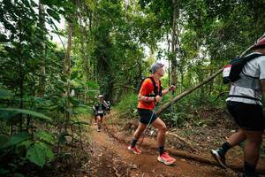 BIB: 
                            <button type="button" onclick="openModal(26813128)" class="btn btn-primary btn-sm float-right btn-popup" data-toggle="modal" data-target=".modal-high-quality">
                        <i class="fas fa-shopping-cart"></i> Add to Cart
                    </button>
                                            <button type="button" onclick="isThisMe(26813128, true)" class="btn btn-success btn-sm float-right btn-popup btn-isme hidden" data-toggle="tooltip" data-placement="bottom" title="นี่คือรูปของคุณใช่ไหม คลิกที่นี่เพื่อเอาเข้าอัลบั้ม">
                        <i class="fas fa-plus"></i> Add to album
                    </button>
                    <button type="button" onclick="isThisMe(26813128, false)" class="btn btn-warning btn-sm float-right btn-popup btn-isnotme hidden">
                        <i class="fas fa-ban"></i> Remove from album
                    </button>