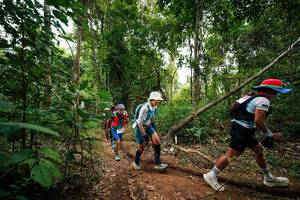 BIB: 
                            <button type="button" onclick="openModal(26810350)" class="btn btn-primary btn-sm float-right btn-popup" data-toggle="modal" data-target=".modal-high-quality">
                        <i class="fas fa-shopping-cart"></i> Add to Cart
                    </button>
                                            <button type="button" onclick="isThisMe(26810350, true)" class="btn btn-success btn-sm float-right btn-popup btn-isme hidden" data-toggle="tooltip" data-placement="bottom" title="นี่คือรูปของคุณใช่ไหม คลิกที่นี่เพื่อเอาเข้าอัลบั้ม">
                        <i class="fas fa-plus"></i> Add to album
                    </button>
                    <button type="button" onclick="isThisMe(26810350, false)" class="btn btn-warning btn-sm float-right btn-popup btn-isnotme hidden">
                        <i class="fas fa-ban"></i> Remove from album
                    </button>